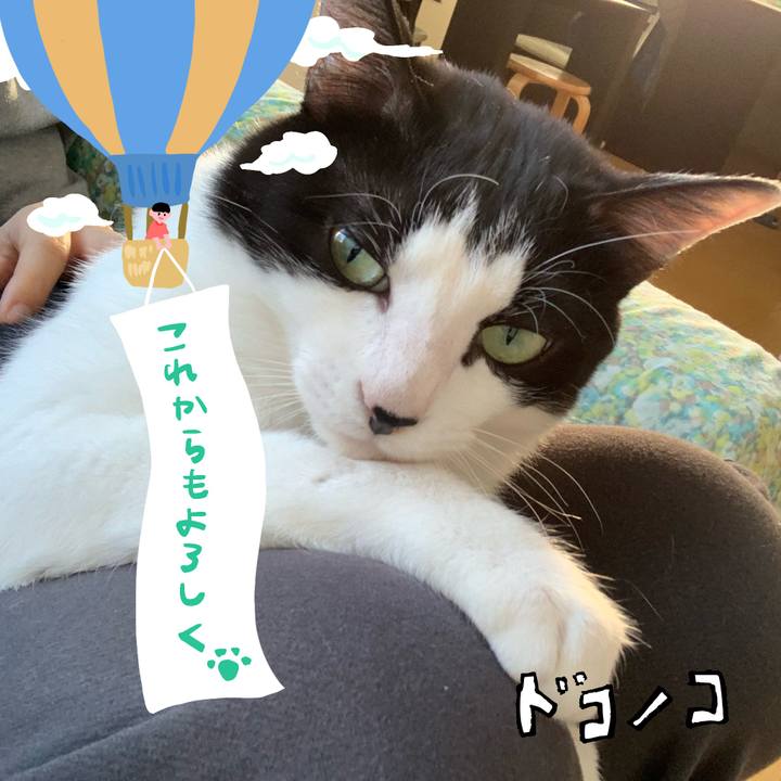 Fa7a7b41 6614 4498 99fd 6f6b4b39a9f5 1685995447875