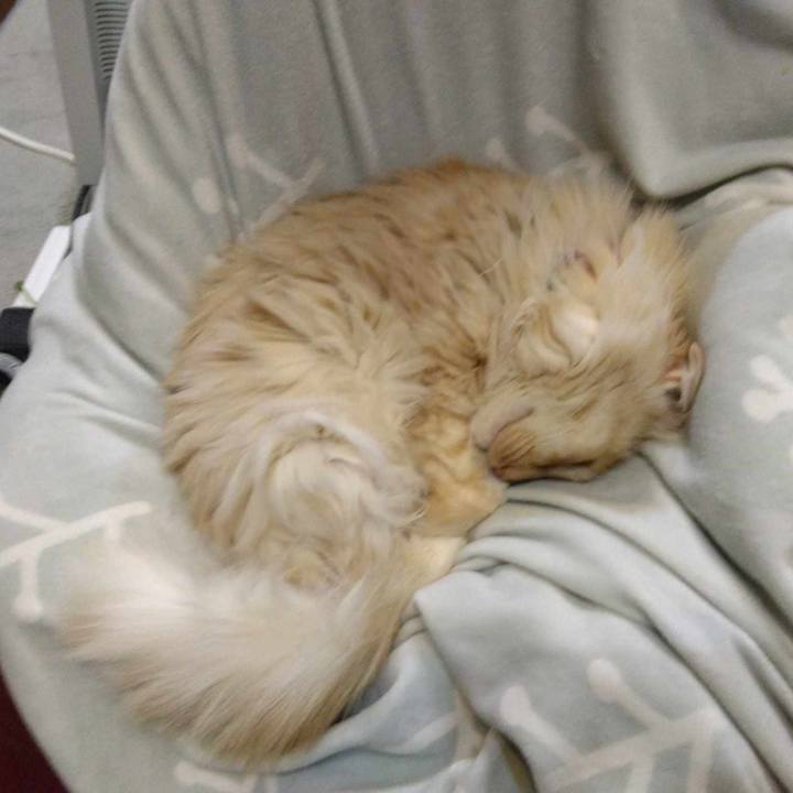 Fa7aa2cc 0631 419d 8c8a 46f782244203 1705060056093