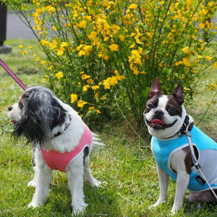 Fa7aa8d8 2fe9 4d58 827e 619957ced6d9 1527510491311