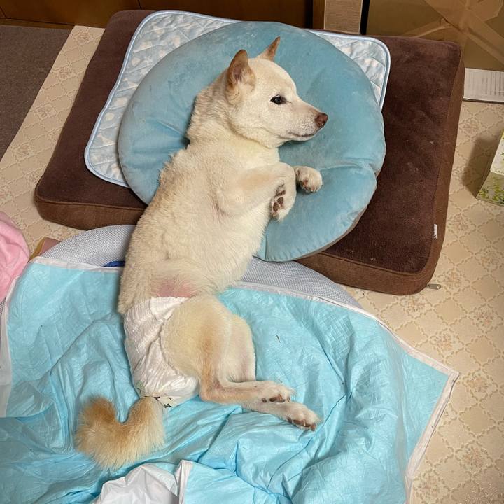 Fa7aa97d ec1a 4e3e 9bc4 f36234ca88f6 1663479454642