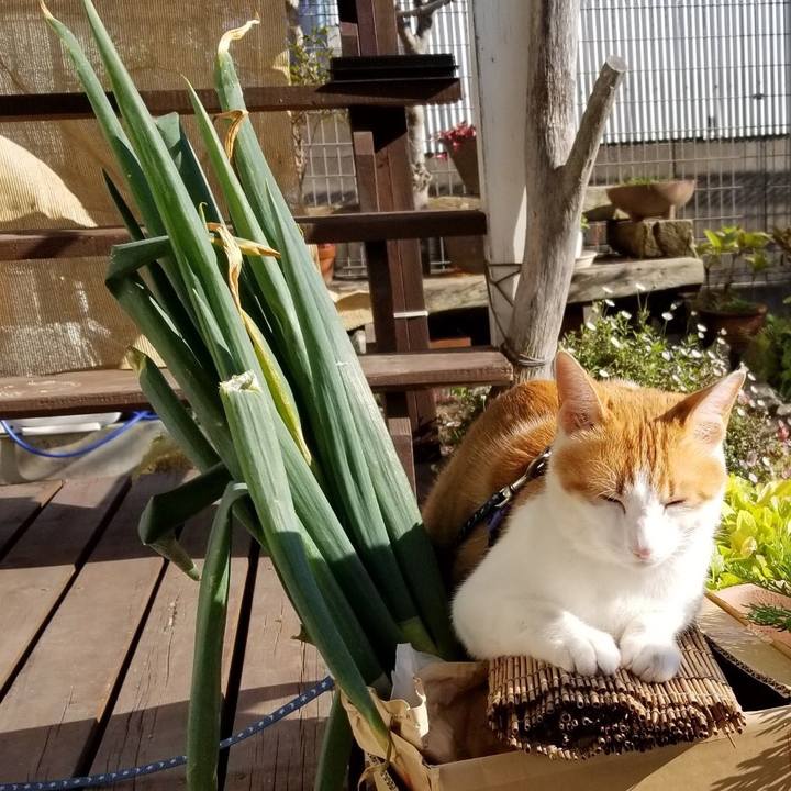 Fa7ab57f 889e 4313 8e7e 6167d62a1bb9 1543148556867