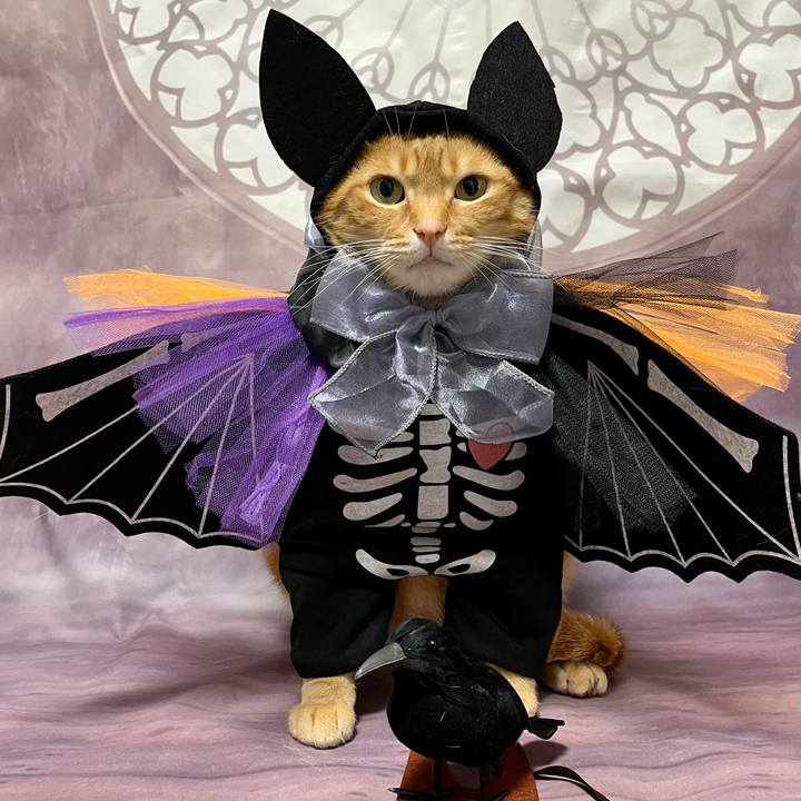 Fa7ad109 aee6 4aba 8bf6 5aba352916f2 1696284828631