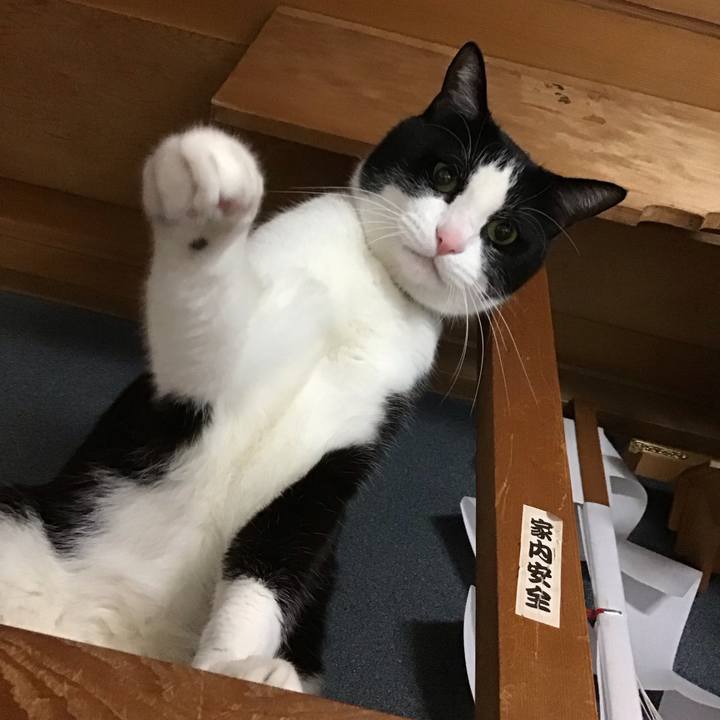 Fa7ad46d 044f 4b2c a379 b1de7becd91e 1744624477595