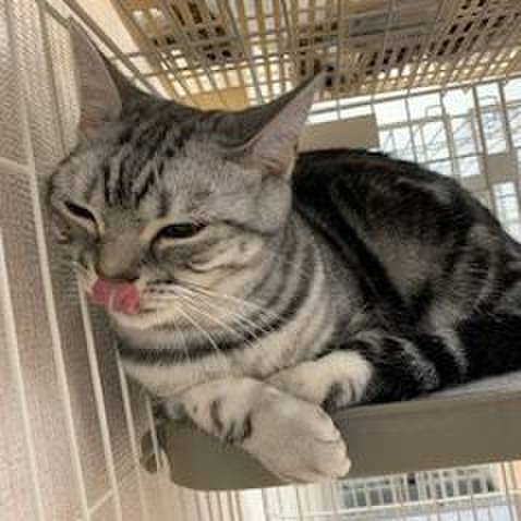 Fa7ae390 c8c8 478e 9baf 3c36691d88c9 1563422368769