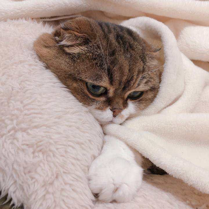 Fa7ae9e4 f31c 4247 9b2a a884e4e00093 1552225799255