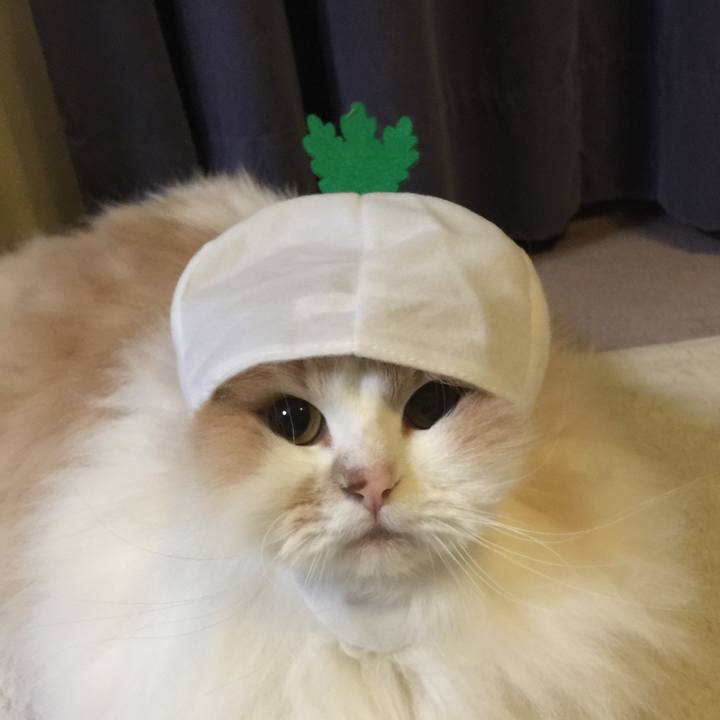 Fa7af805 0e91 48be 92c2 8356f7e33947 1518611996041