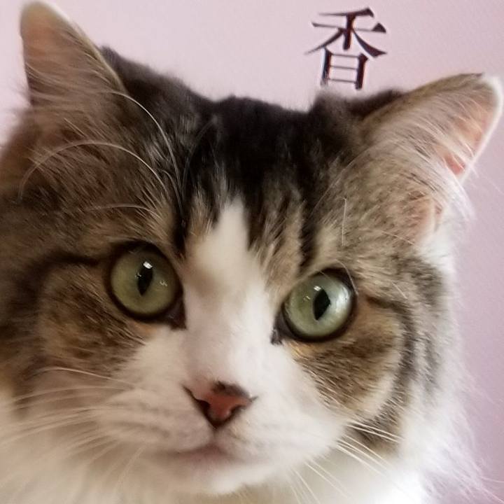 Fa7b9081 f3cd 421a 85e5 b87fa33df463 1572044062069