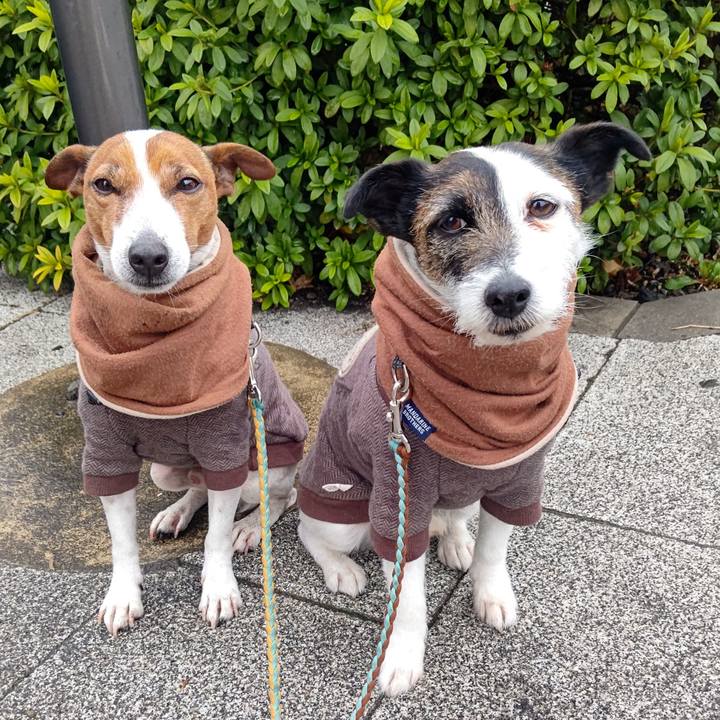 Fa7bc386 53b8 410d 8f9f e728fd094fd1 1709246742631