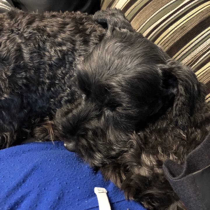 Fa7bcf33 d005 404d b76e 7e0577062ccf 1574829536800