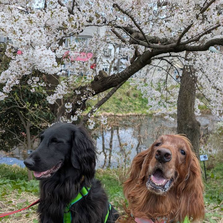 Fa7be7a0 58a8 440b ac5e a930059c735d 1775993268156