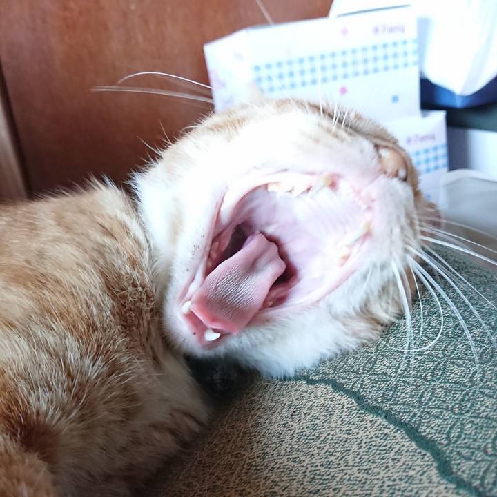 Fa7c16d3 5eaa 40cf 8bf3 7b5da0c665cc 1566115389073