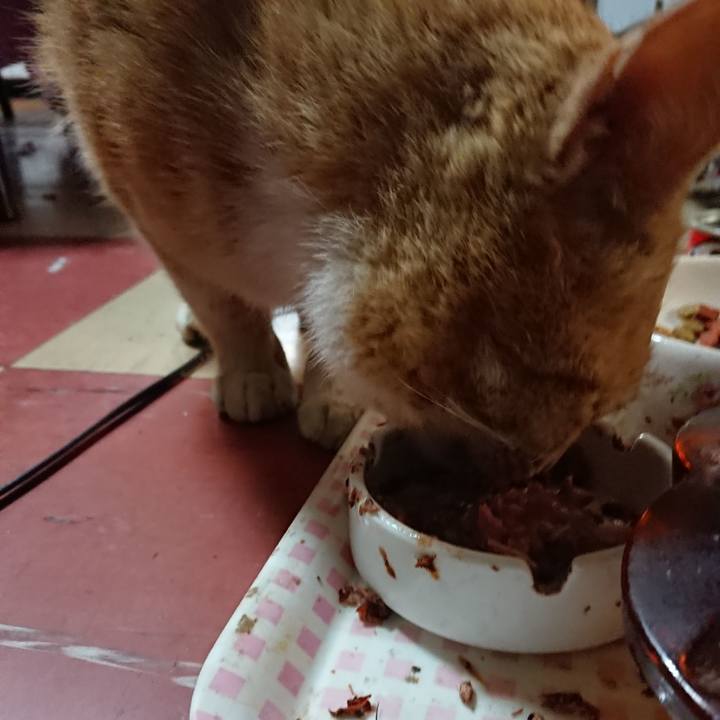 Fa7c246c ee9d 4f7d b923 02d2b924a9eb 1554499884932