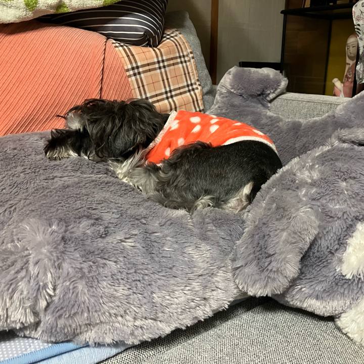 Fa7c3779 a872 4b84 ae26 d5ace48cd228 1709903750434