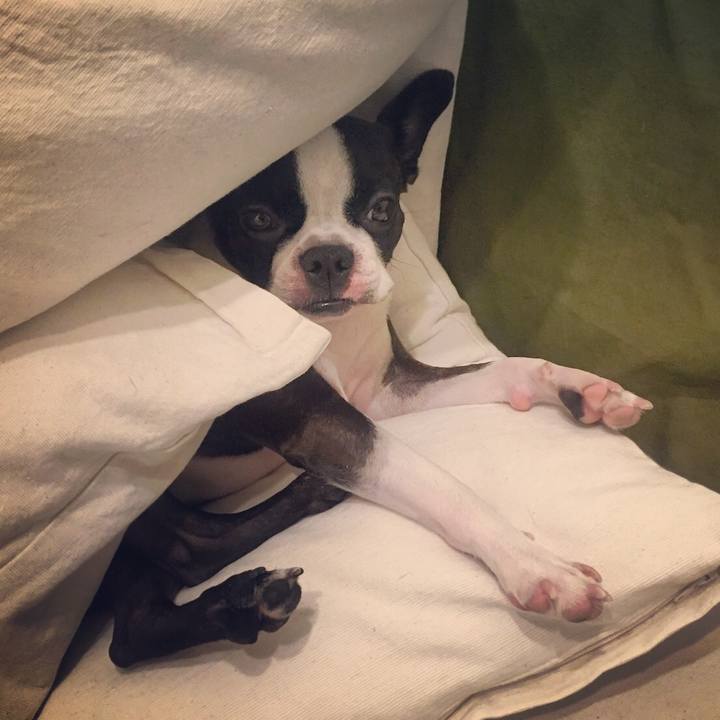 Fa7ca9b5 34f5 42b3 b81a df8472aff923 1539670584639