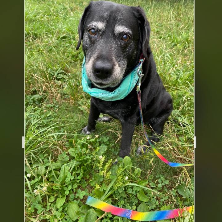 Fa7cb281 82d5 49c7 a513 ea41f0e8a1a0 1688565028442