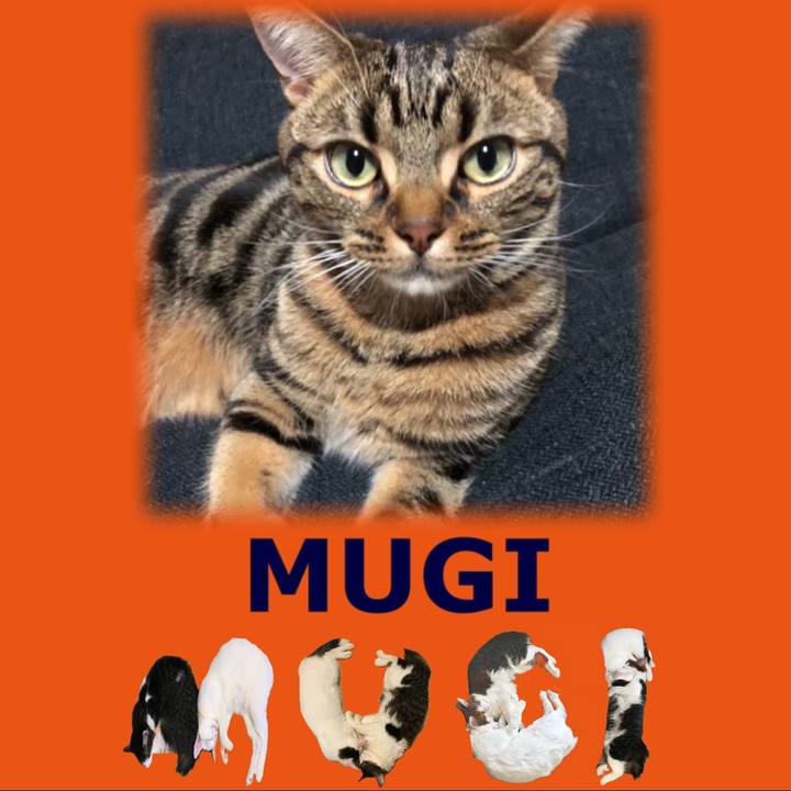 Fa7cc059 cb7c 4bba 8b23 aff03cc44212 1667546101043