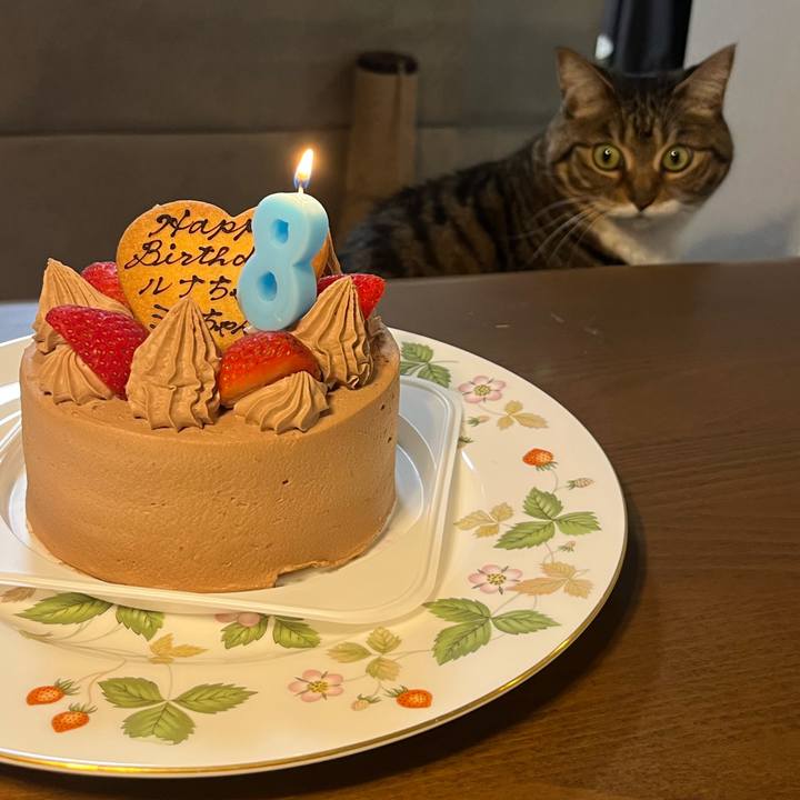 Fa7cfac6 1797 4f1b a225 94ea4e31aa78 1757329324688