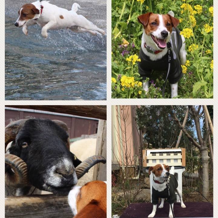 Fa7d47b2 5a35 4d72 b501 6b4a2f04fa39 1521969410065