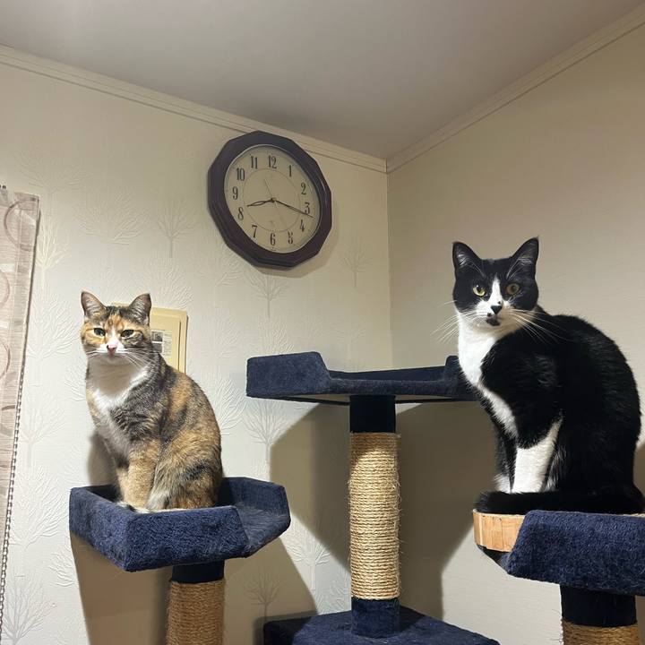 Fa7d8a41 5671 4dc5 9b45 fc322ed4e251 1703203365146