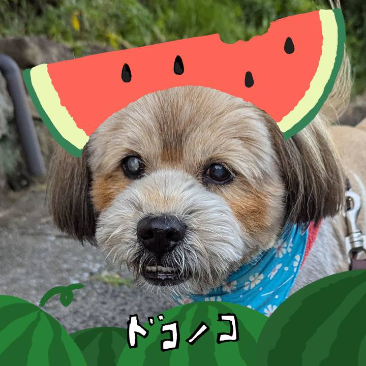 Fa7d98f7 d56d 4ee4 8034 fafe8eeb323e 1720876278742