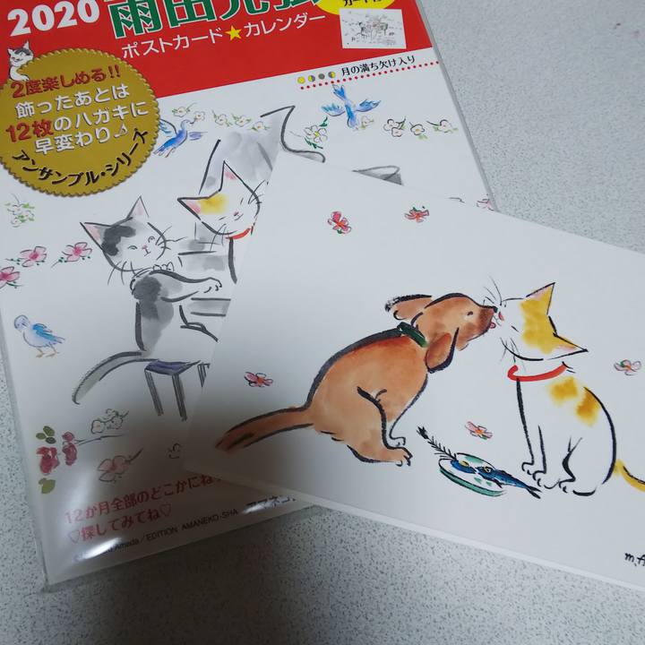 Fa7d9966 1d51 4efd 875a 706c566adc5a 1574075307281