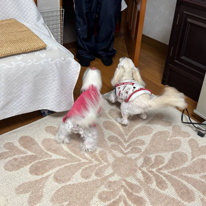 Fa7d9c0b a9ab 4ac9 a506 e548adc0f757 1765442689020