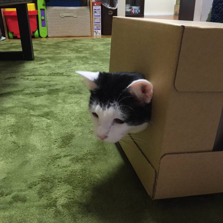 Fa7db540 c055 41b3 b60e 6939bbf48684 1524310606732