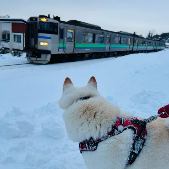 Fa7dc930 2ba7 43a9 aa76 79840ef3ac1e 1765664659008