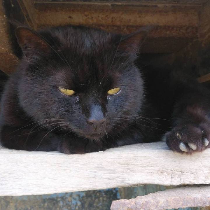 Fa7dc9f1 0ea8 4a94 ba56 b96dcad9dabe 1591073808113