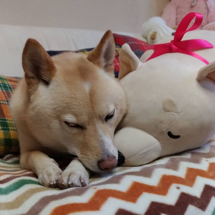 Fa7df486 dfb0 40ce 8c66 6fa67dde6f0e 1578223344491