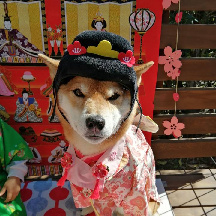 Fa7e37ac 29f7 4fc9 a20c 4f9c0174d8d2 1614746072064