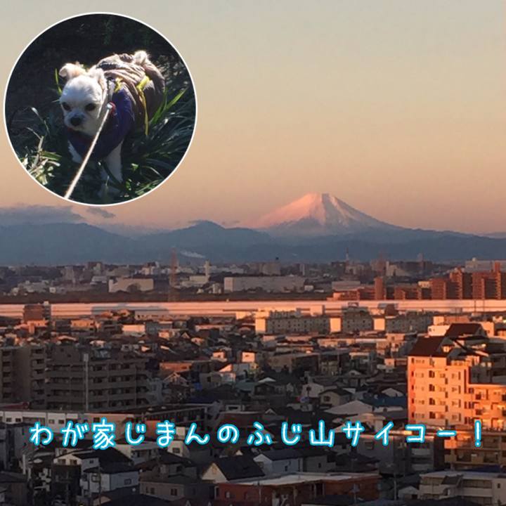 Fa7e40a4 b8f1 480b b68a 73fd57d7c1e9 1546315771768