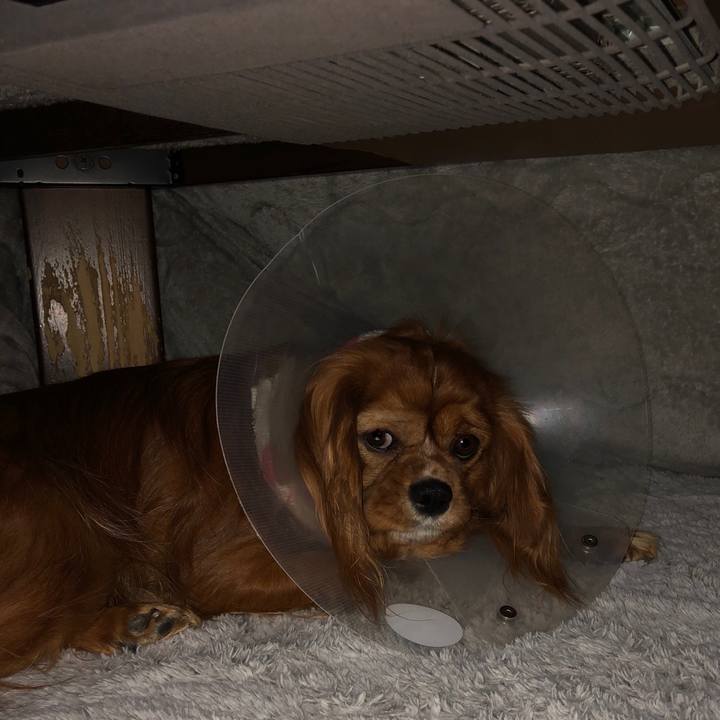 Fa7eb457 eeee 4a35 bd92 473711cae00c 1582888101950