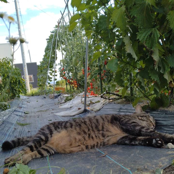 Fa7eccf3 53aa 454b 8d46 eddf1668663c 1692089022175