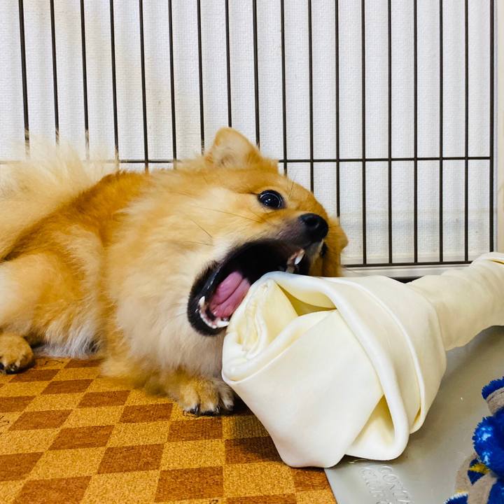 Fa7eddcb c9d7 4e96 842f c7b9c3d39c3f 1592129410254