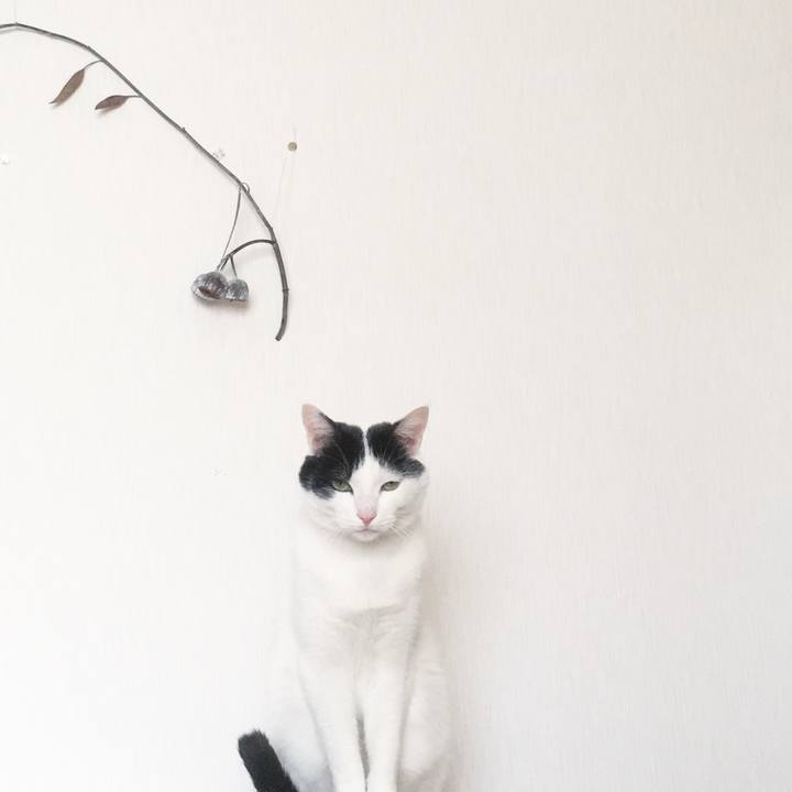 Fa7f0b3a 7320 4313 a93f cdddef432444 1525620753694