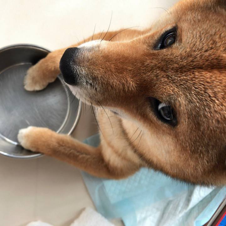 Fa7f73c9 a329 46d5 ae4c 06de95809b93 1532081182220