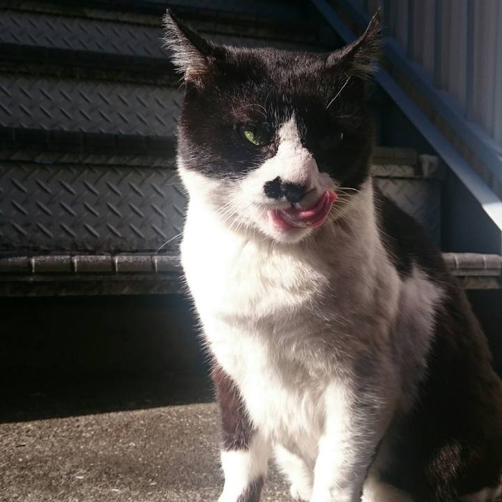 Fa7fdeba 0cf6 41ca b8f8 aff7c2f4adad 1515899367816