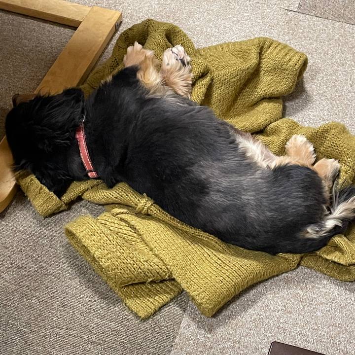 Fa807929 8ecc 4493 b2f5 d74ab7b8bb97 1612532393588