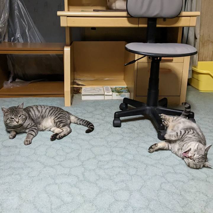 Fa80ad7d c14b 4f00 952c ca887f830307 1704363171125