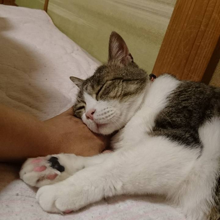 Fa80d9c8 675d 456a 9ce9 3678958cd72f 1525531528657