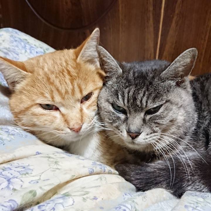 Fa80f614 1b48 48fc a996 e547ad290d7c 1582200587889