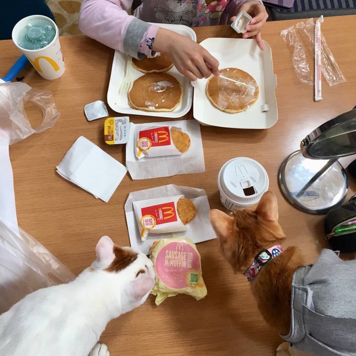 Fa80f770 d015 486c a537 4f33657aad97 1522543203566