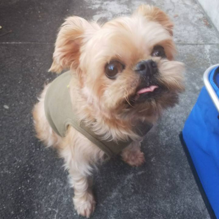 Fa80f934 41bc 44ee 80d0 97c6fd16e0ca 1541925945626