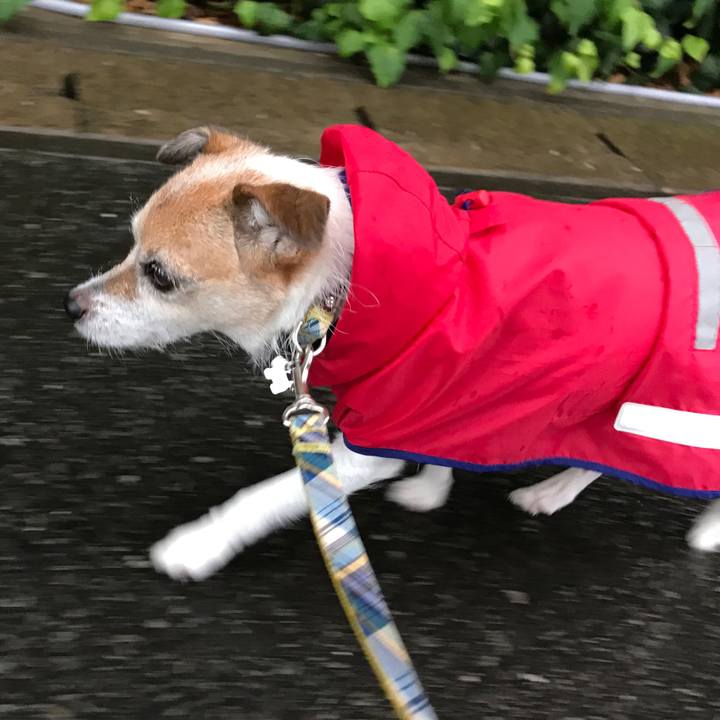 Fa810a1b a49a 49a1 9ef9 38bd062fb578 1628371809061