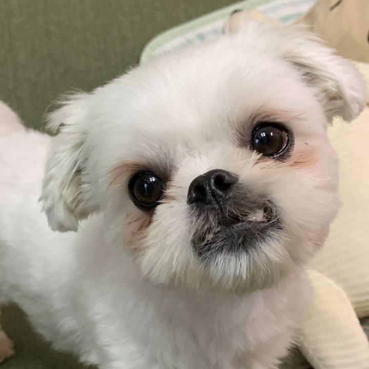 Fa812991 583a 4b27 82d5 d40a5acb8a83 1667308359657