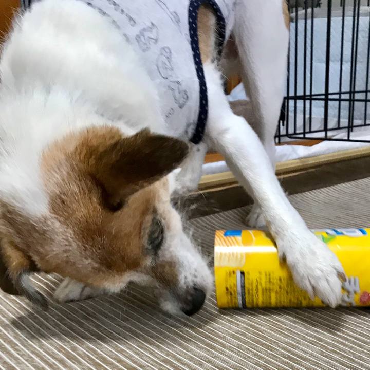 Fa8157ed 9b12 4eb8 890b 66a911e4487f 1601274584374