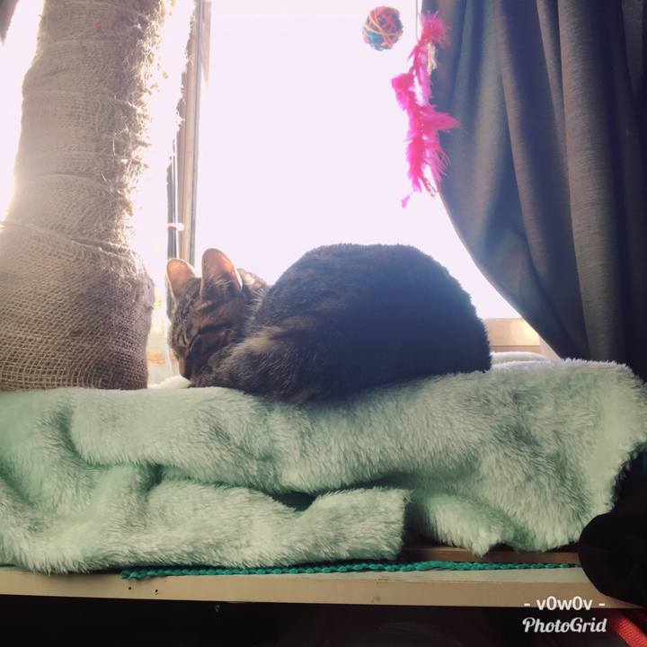 Fa8174b3 2357 4689 bc7c 6b8e3fdbf405 1544398185301