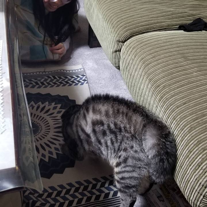 Fa817f8a ce7d 45b2 85a0 4f51a8a7e7b2 1673618924223