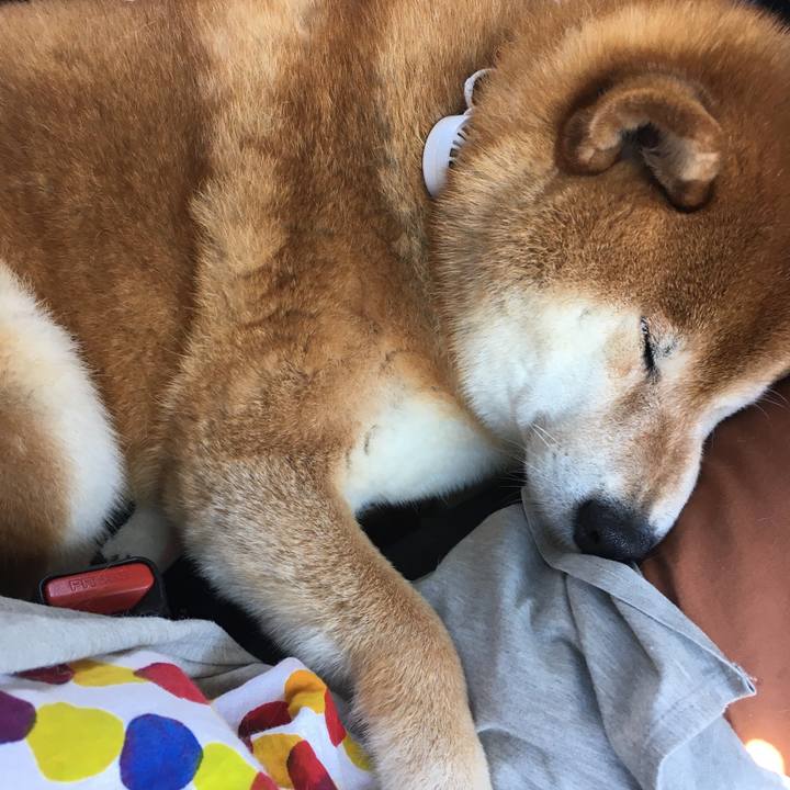 Fa81b4e0 f30e 4ec8 8679 a9aa72437db9 1627221244561